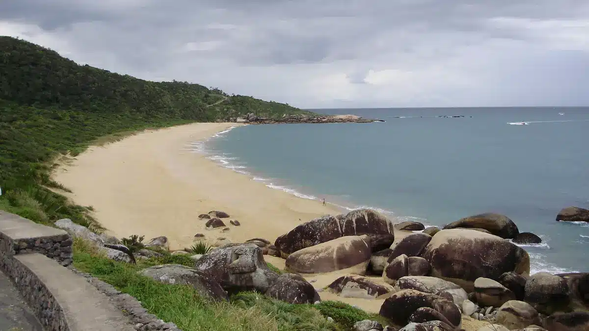 Arte e cultura em Balneário Camboriú - SC