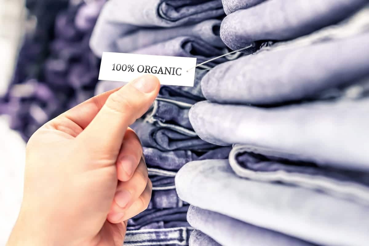 Clothing Retail